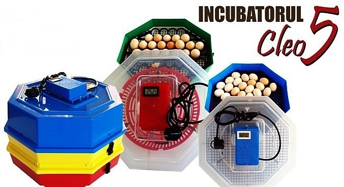 Incubator de oua electric Cleo 5